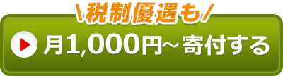 あなたのご寄付でできること