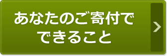 あなたのご寄付でできること