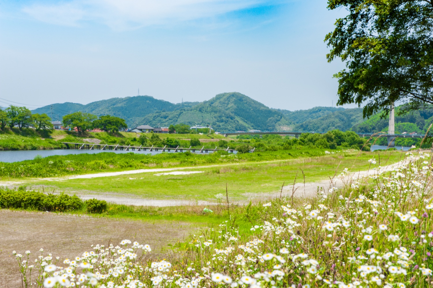 10/24,10/31,11/21開催21：00-「教育事業企画・開発ポジション（勤務地/島根県雲南市） 」Online採用説明会